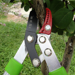 Old Buddy Pruning Shears Steel Bypass 60mm Anti-Slip Grip For Fruit Tree And Farm Use - Product Image 1