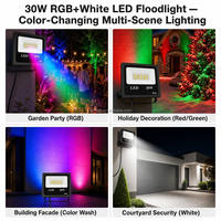 Projecteurs LED RGB blancs à télécommande pour extérieur, IP66, changement de couleur pour jardin, fête, Noël, éclairage multicolore