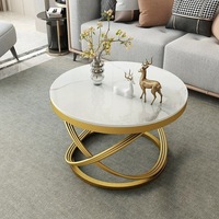Mesa de Centro de Metal Ecológica y Duradera de Diseño Creativo, Disponible en Varios Colores, Personalizable, Muebles Modernos para el Hogar