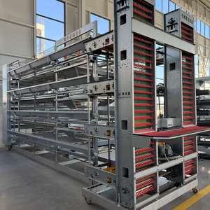 Eenvoudige Reiniging Automatische Kippenkooi Voor Laag Met Automatisch Voersysteem - Product Image 3
