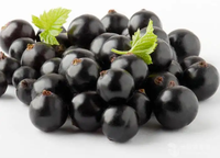 Voedzaam Wild Food Grade 100% Pure Zwarte Bes Fruit Extract Goed In Water Oplosbaar In Trommel & Plastic Container