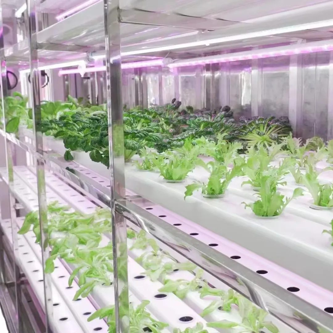Skyplant hidroponik dalam ruangan sistem pertumbuhan mikro komersial hidroponik sistem tanaman rumah kaca wadah hidroponik pertanian