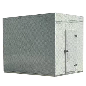 Sala fredda <span class=keywords><strong>e</strong></span> congelante per Container ad alta produttività, sala frigorifera, sala frigorifera, in vendita - Product Image 5