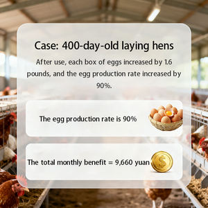 פירותי חלל מעיים לעופות פלוס, חומצות אמינו בדרגת מזון, טיפול בדיארה, משפר את שימוש המזון, חוסך אבקת מזון, תוסף מזון - Product Image 5