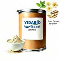 Enzyme cellulase de qualité alimentaire YIDA Biotech, extrait végétal botanique pour la rupture des parois cellulaires des plantes, durée de conservation de 12 mois