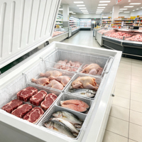 Congélateur vertical commercial à une porte, prix d'usine, refroidissement direct, écologique, économe en énergie, grande capacité pour usage domestique