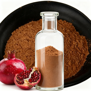 مسحوق خلاصة الرمان الطبيعي Punicalagin خلاصة الأعشاب الغنية بالفيتامينات مع سعر جيد - Product Image 2