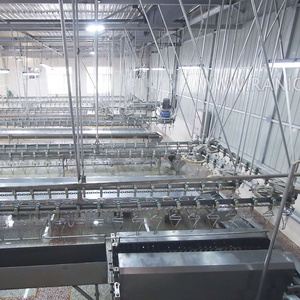 500Bph pollo Halal <span class=keywords><strong>sacrificio</strong></span> para la <span class=keywords><strong>venta</strong></span> para Malasia - Product Image 2