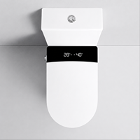 WC intelligent de luxe à deux pièces avec eau chauffée instantanée, télécommande et double filtration