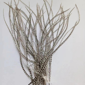 4-16 ''10-40Cm Chất Lượng Cao Tự Nhiên Grizzly Dậu Đuôi Lông Cho Phần Mở Rộng Tóc <span class=keywords><strong>Fly</strong></span> Buộc <span class=keywords><strong>Fly</strong></span> Câu Cá Trang Trí - Product Image 5