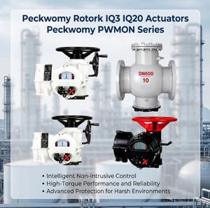 Peckwomy ชุดตัวกระตุ้นแบบลูกบอล OEM กันระเบิดมีจอแสดง IQ20 IQ3เปลี่ยนได้ - Product Image 1