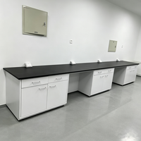 Banc de laboratoire en acier blanc, table en acier pour laboratoire de chimie et de biologie, résistance à la corrosion, usage intensif