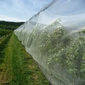 Red de jardín de 8 'x 24' para proteger plantas vegetales frutas flores cultivos invernadero fila cubierta protección malla red