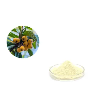 Manufacturer Supply Loquat Seeds Juice Extract Powder Food Grade Organic Loquat Fruit Powder