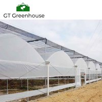 Serre Agricole GT Grande Serre Commerciale pour l'Agriculture