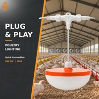 Lampu LED Unggas Tegangan Rendah 48V 0-100% Peredupan Merah Biru Putih Hijau CRI >83 IP67 Tahan Air untuk Peternakan Ayam