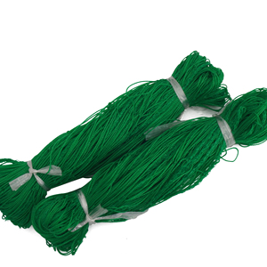 Customizable HDPE Durable 2m * 10m 10cm * 10cm Cutting Service Trellis <strong>Net</strong> Plant Support <strong>Net</strong> Yam <strong>Net</strong> - Product Image 1
