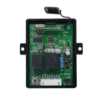 Receptor de Control Remoto de Larga Distancia de 2 Canales, DC 12/24V