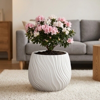 Grandes jardinières créatives, mignonnes, colorées, en plastique durable et légères pour l'extérieur, avec trou de drainage - Décorations de pots de fleurs