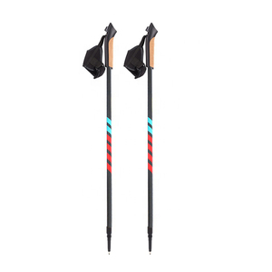 2pcs 맞춤형 휴대용 북유럽 2 섹션 alpenstock 3K 탄소 섬유 개폐식 텔레스코픽 노르딕 워킹 스틱 - Product Image 1