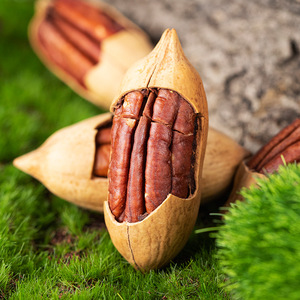 Nhập khẩu <span class=keywords><strong>Pecan</strong></span> <span class=keywords><strong>Nuts</strong></span> cho Baking thành phần Snack hỗn hợp nhãn hiệu riêng xuất khẩu và thương mại điện tử phân phối - Product Image 5