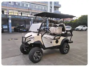 Factory 48V/72V Electric Golf Cart 2 Seater 5kw Lithium Off Road Golf Cart Hunting Golf Buggy Luxury Club Car