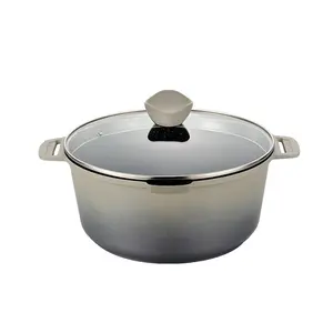 24cm Aluminum Casserole Pot with Marble Coating Including Glass Lid