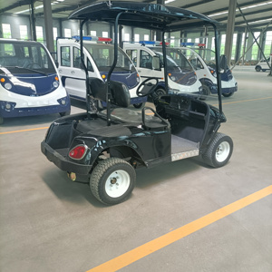 Nouveau produit le plus vendu : Chariot de golf 2 places pour adultes - Product Image 3