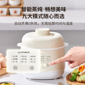 Mini-cuiseur électrique Wiper 2-3L avec minuterie numérique, cuve intérieure en céramique, multifonction pour ragoûts, soupes et bouillies - Product Image 5