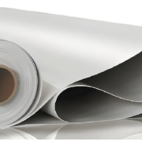 Membrane d'étanchéité TPO industrielle écologique moderne pour toiture, garantie 5 ans, résistante aux UV, haute résistance, fournie par l'usine