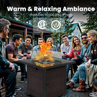 Table de foyer carrée en rotin au propane d'extérieur avec couvercle en verre trempé, pare-vent en verre, 50 000 BTU, pour terrasse, jardin