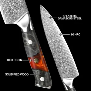 VG10 coltello da cucina damasco coltello da cucina professionale giapponese Set di coltelli in acciaio damasco disossato Sushi utilità coltelli da cucina
