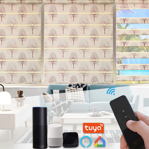 Cửa sổ Rèm mù Màn hình năng lượng mặt trời màn màn trập Con lăn rèm tự động Shangrila rèm - Product Image 1