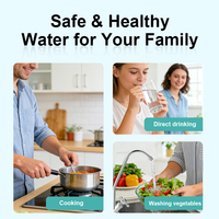 NOBANA Pièce de rechange Filtre à eau personnalisable pour toute la maison avec système de filtration UF Purificateur d'eau d'ultrafiltration