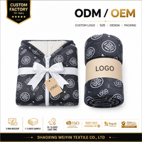 Sudadera con Capucha Extragrande Personalizada de Marca Privada, Manta de Sherpa al por Mayor, Sudadera Ponible para Equipos Deportivos, Proveedor de Regalos OEM ODM