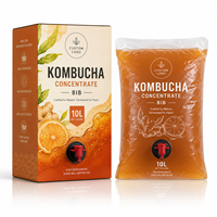Emballage personnalisé en carton BIB pour concentré de kombucha 10L avec sac intérieur ambré et valve