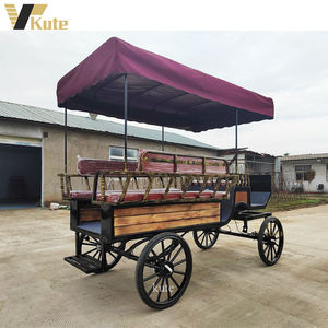 Carruaje Eléctrico de Turismo de Alta Gama para Recepción de Hoteles y Villas - Product Image 6