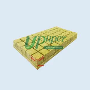 Upper Cp T50 2 Inch Zaailing Tray Kamerplanten Hydrocultuur Substraat Steenwollen Kubus