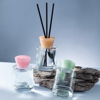 Diffuseur de parfum liquide sans odeur, sans suie, sans fumée, technologie de combustion propre, bâtonnets en fibre pour restaurants et cafés