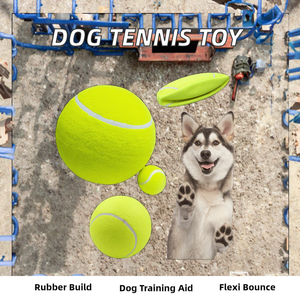 Juguete de tenis para mascotas de nivel 2 de estilo Simple, pelota de entrenamiento microelástica para gatos y perros, goma duradera, incluye todo lo necesario - Product Image 3