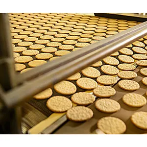 100 kg/h 250 kg/h 500 kg/h 750 kg/h cracker & Soda. pequeña línea de producción de galletas