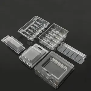 Kundenspezifische Kunststoff-PET-Blisterverpackungsbox mehrere Größen und Verwendungen