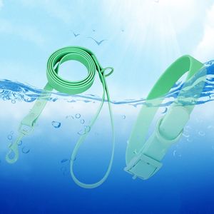 Produit pour animaux de compagnie populaire, ensemble laisse et collier pour chien en PVC, imperméable et facile à laver - Product Image 2