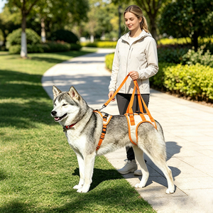 Arnés de Soporte para Perros, Cinturón de Elevación para Perros Discapacitados, Ancianos, con Artritis o Lesiones, Ayuda para Caminar, Arnés de Elevación para Mascotas - Product Image 6
