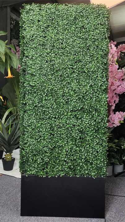 Künstliche Buchsbaum-Hecke – 12 Paneele à 50,8x50,8 Cm, UV-beständig, Als Sichtschutz & Gartendeko