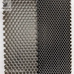 Verschiedene Stahl-Honigwabe und Aluminium-Honigwabe-Kernplatten für Schotten und Eisenbahntüren