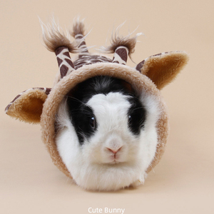 Fabrieksdirecte Schattige Giraffe Vorm Fluweel Eenrichtingsweg Konijn Luxe Huis Konijntje Hamster <span class=keywords><strong>Tunnel</strong></span> Speelgoed Dierenpatroon - Product Image 4