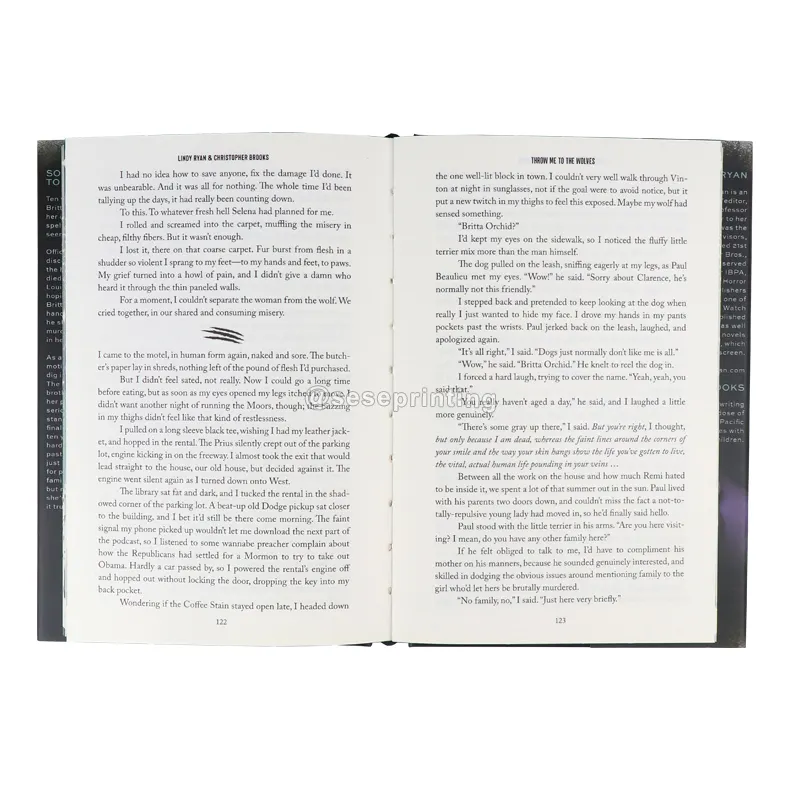 カスタムスペシャルブック印刷専用ハードカバー小説本マルチカラーステンシルスプレーエッジ