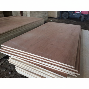 BINTANGOR CONTREPLAQUÉ 11/11.5mm avec le meilleur prix - Product Image 1