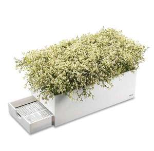 Ensemble de 8 pièces personnalisé en acrylique pour Birkat Hamazon, comprenant un vase à fleurs, un ensemble Zemiros et un ensemble Bencher, cadeau juif - Product Image 4